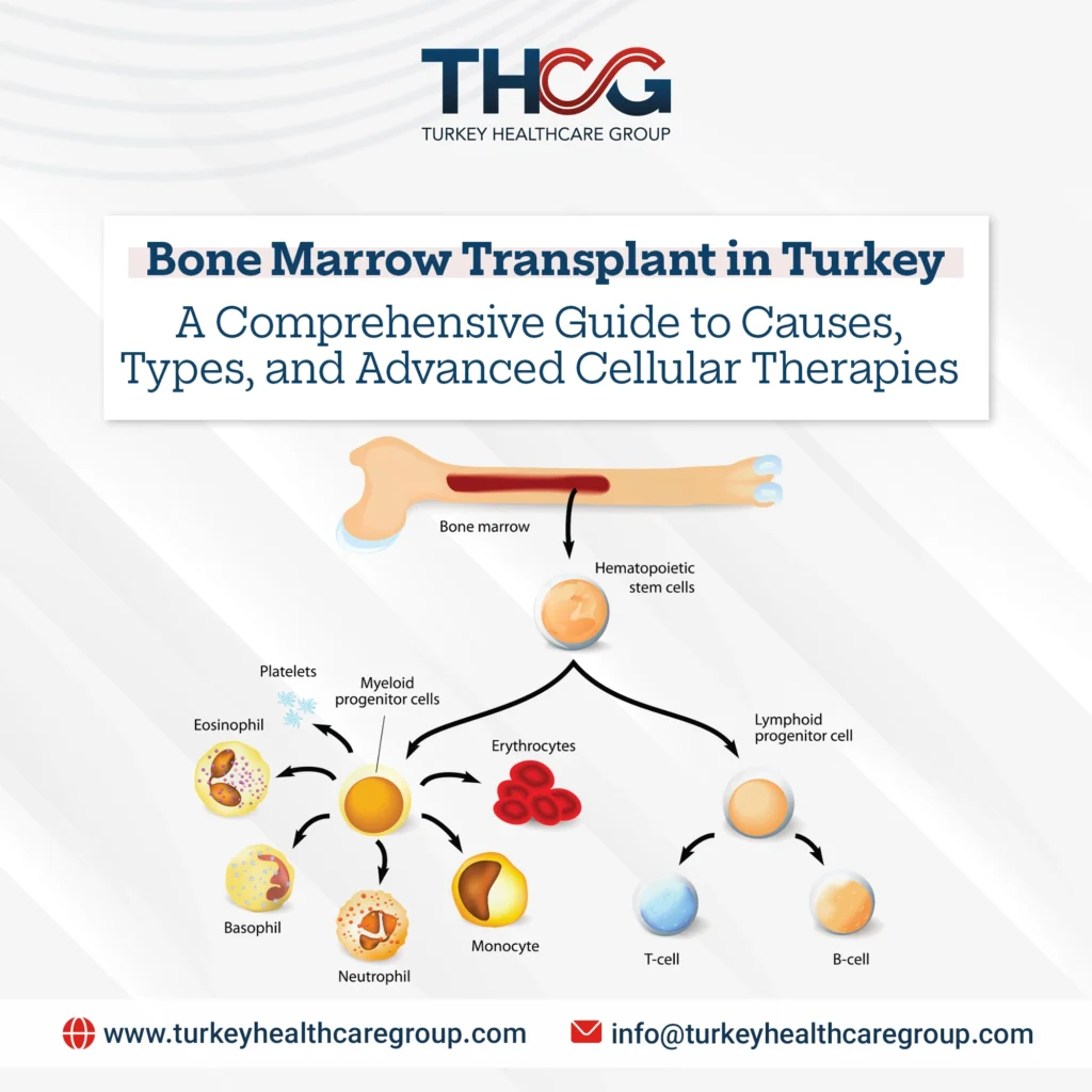 Bone Marrow Transplant in Turkey: Comprehensive Guide & Therapies | 2026